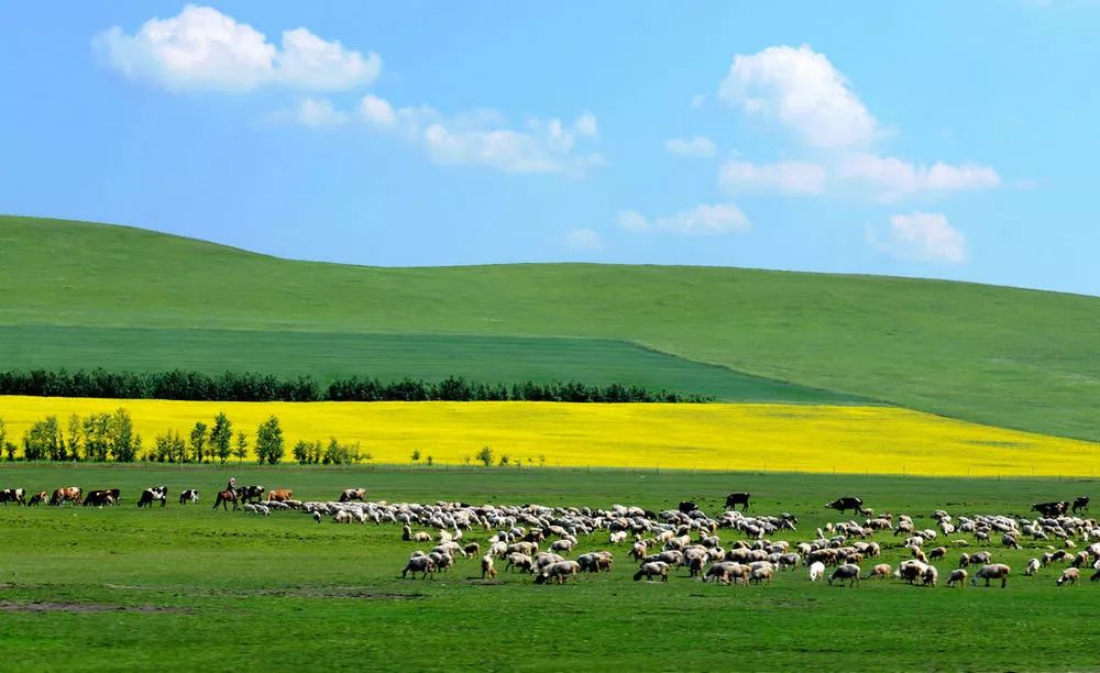 内蒙古，绿色发展铸就民族团结新典范
