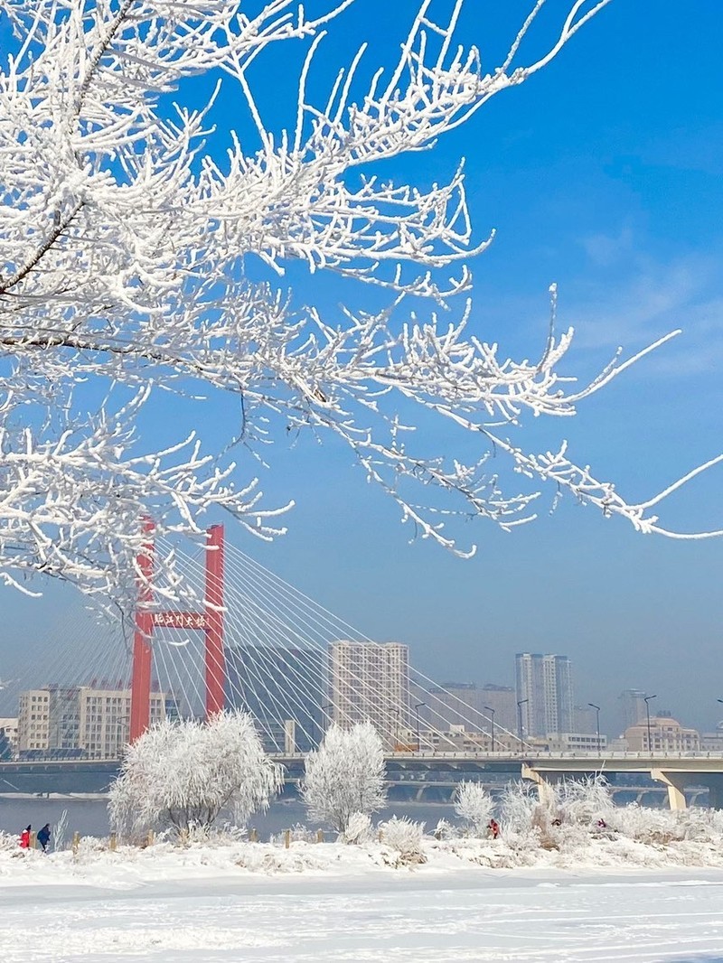 吉林发展的双刃剑效应探析与个人观点分享