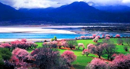 西藏旅行指南，打造完美旅程攻略