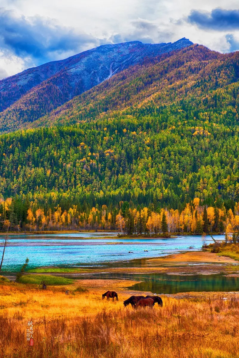 新疆，神秘美丽的土地，燃起无限激情的火焰🔥🌄